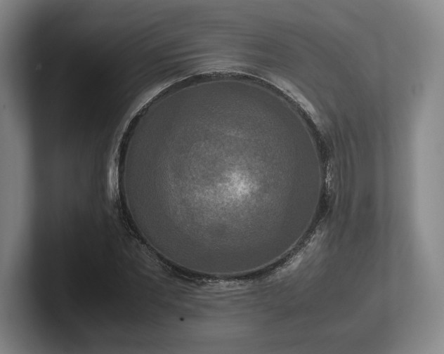 X0000102520877200808151531