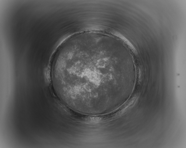 X0000102520878200808151531