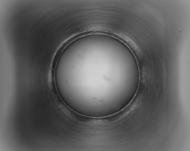 X0000102520880200808151531