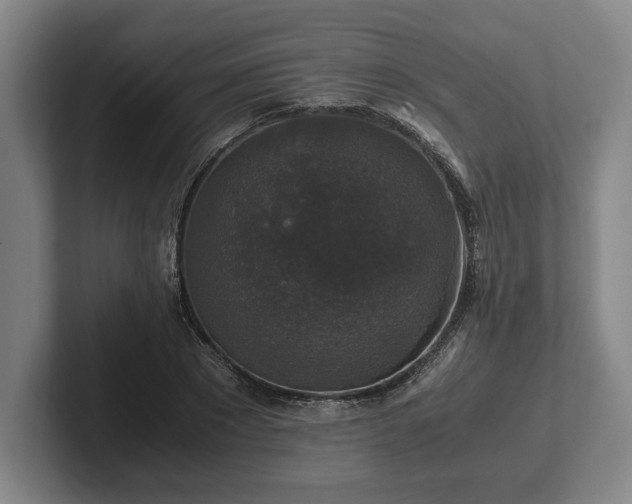 X0000102520881200808151531