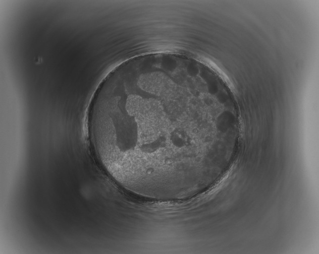 X0000102520883200808151531