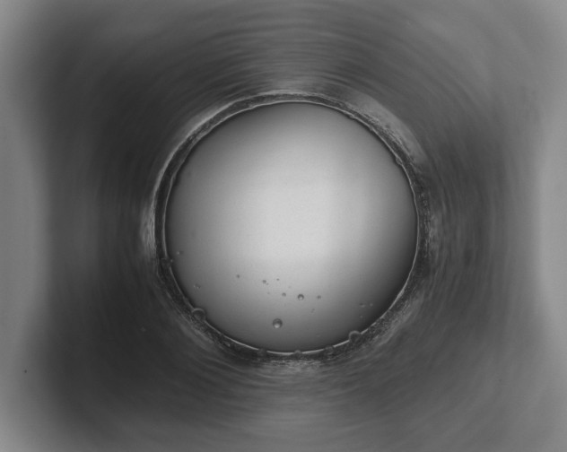 X0000102520884200808151530