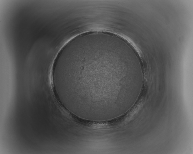 X0000102520887200808151530