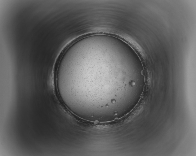 X0000102520888200808151530