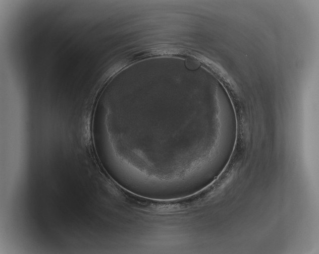 X0000102520889200808151530