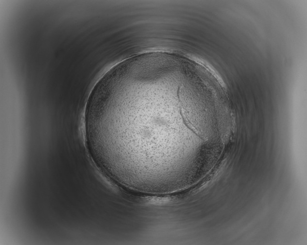 X0000102520890200808151530