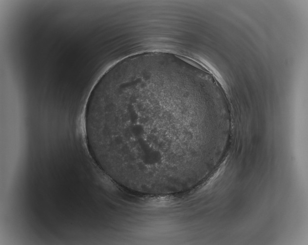 X0000102520891200808151530