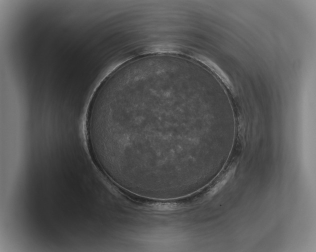 X0000102520893200808151530