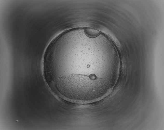 X0000102520894200808151530