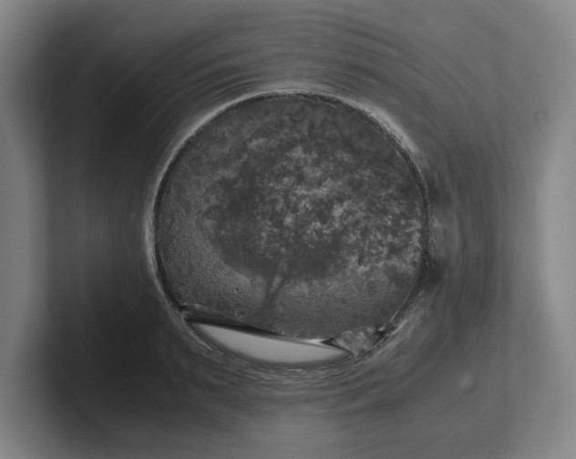 X0000102520895200808151530