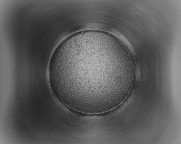 X0000102520896200808151530