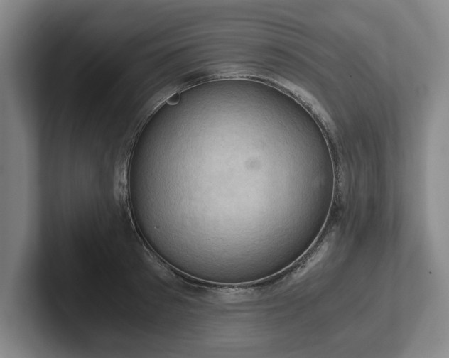 X0000102520897200808151530