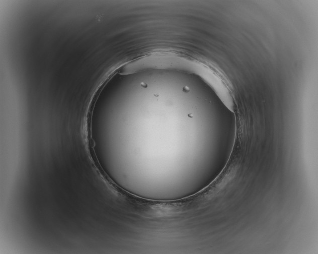 X0000102520898200808151530