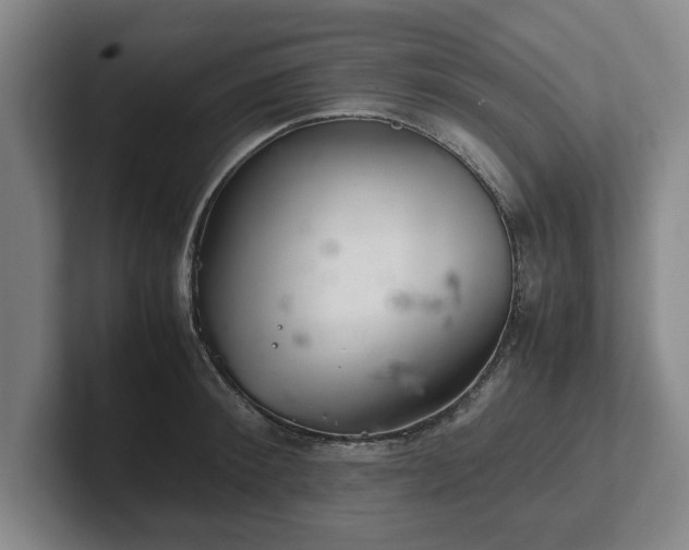 X0000102520900200808151530