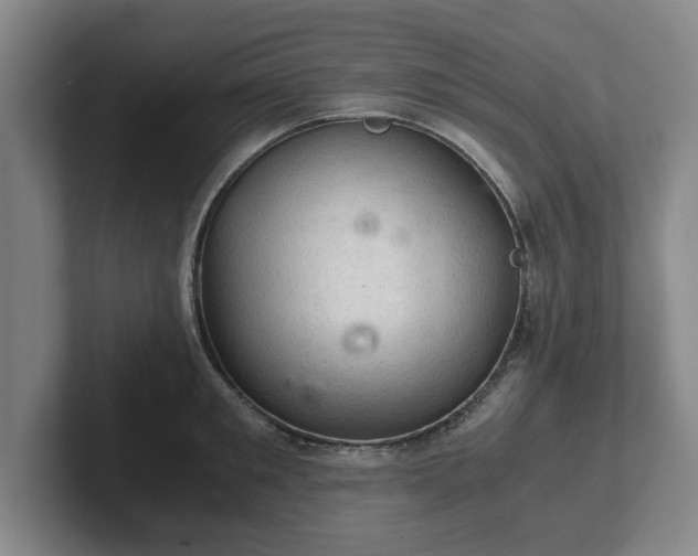 X0000102520901200808151530