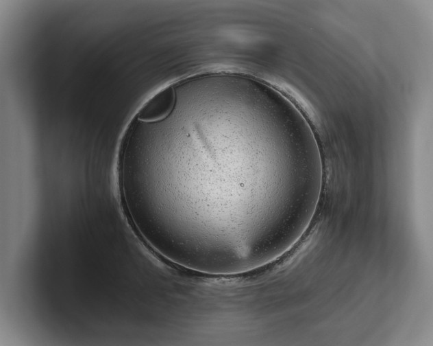 X0000102520902200808151530