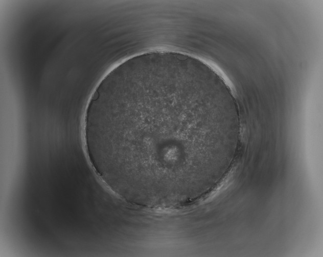 X0000102520903200808151530