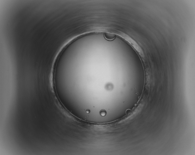 X0000102520904200808151530