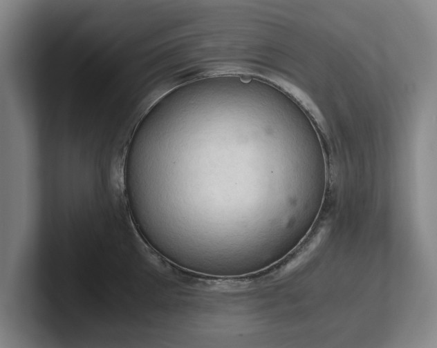 X0000102520905200808151530