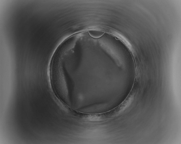 X0000102520907200808151530