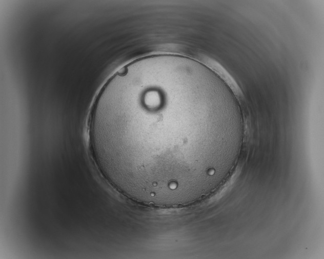 X0000102520908200808151530