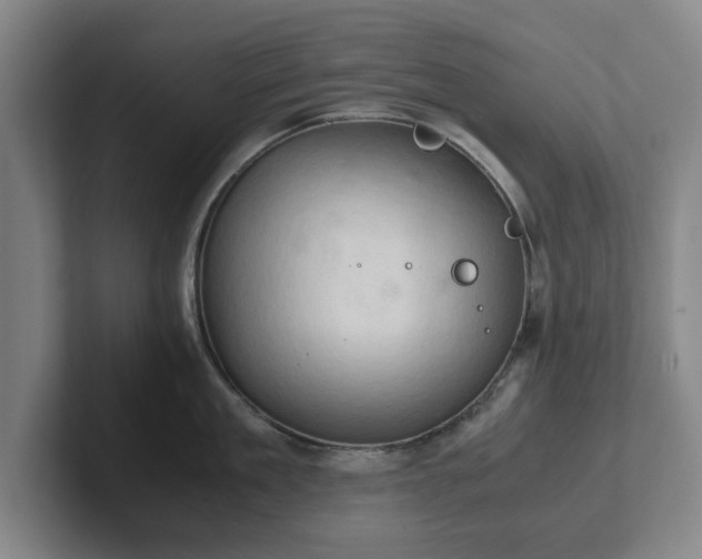 X0000102520909200808151530