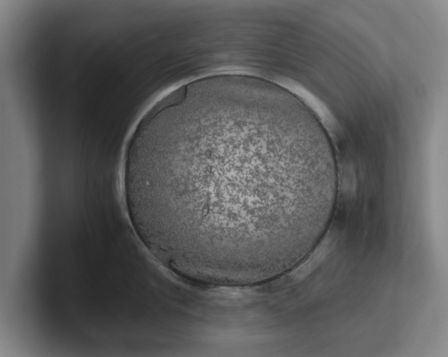 X0000102520910200808151530