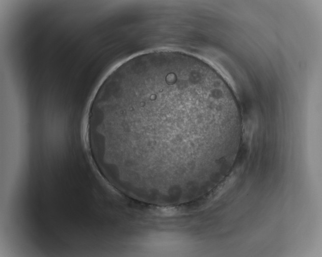 X0000102520911200808151530