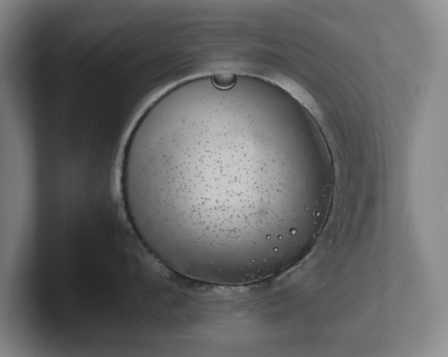 X0000102520912200808151530