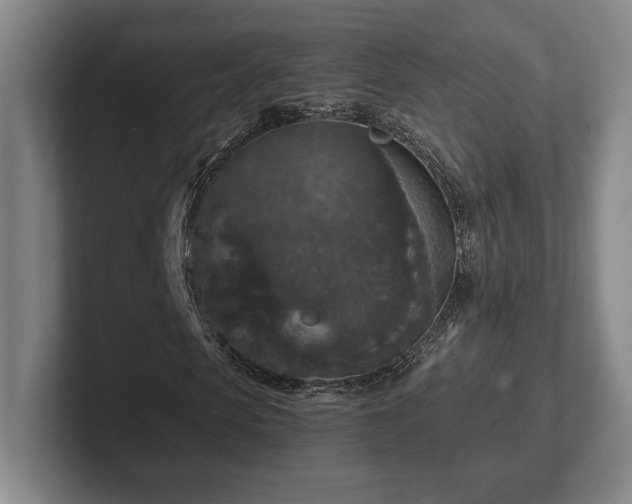 X0000102520913200808151529