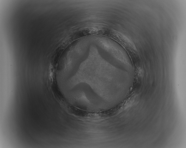 X0000102520914200808151529