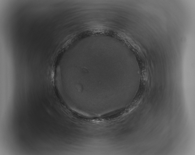 X0000102520916200808151529