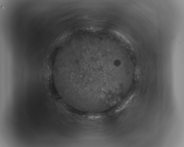 X0000102520917200808151529