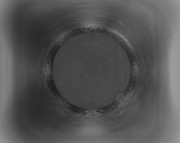 X0000102520918200808151529