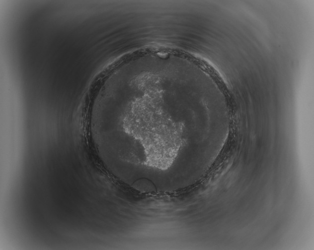 X0000102520919200808151530