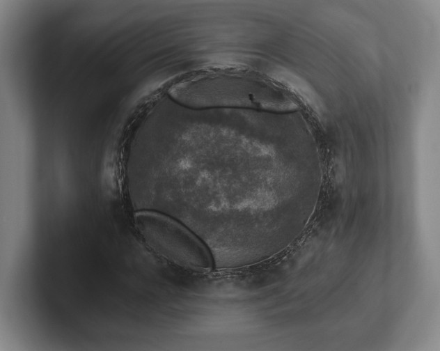 X0000102520920200808151530