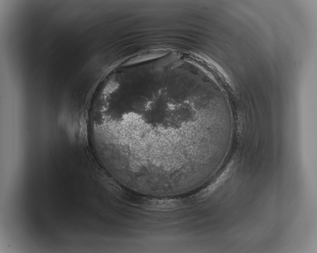 X0000102520921200808151530