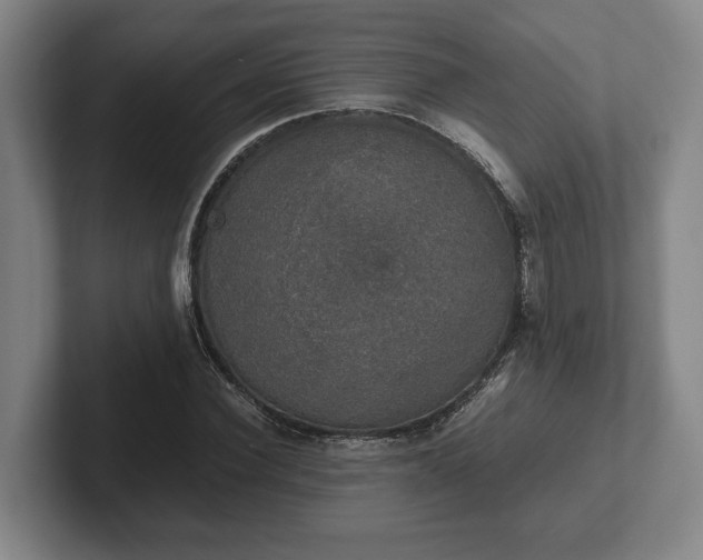 X0000102520924200808151530