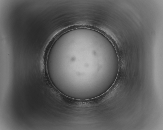 X0000102520927200808151530