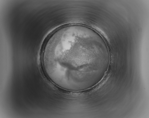 X0000102520928200808151530