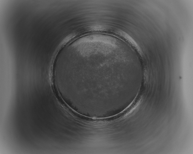 X0000102520930200808151530