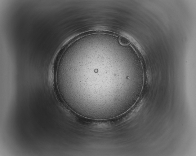 X0000102520931200808151530