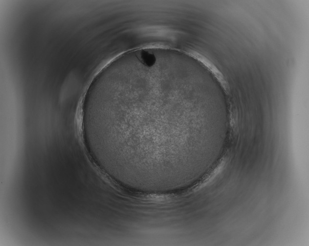 X0000102520933200808151530