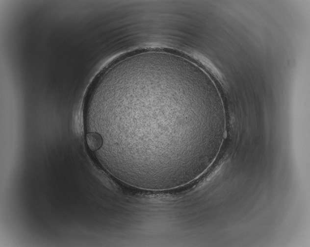 X0000102520934200808151530