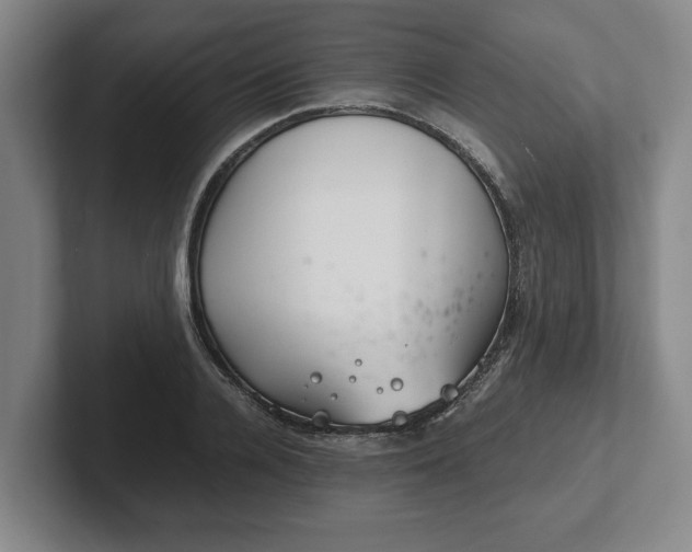 X0000102520936200808151530