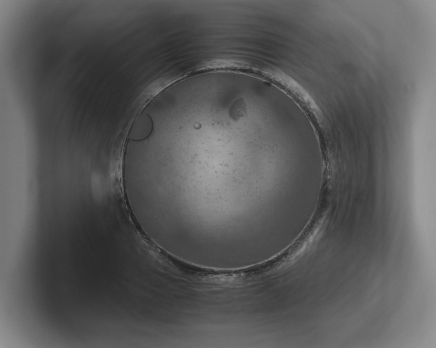 X0000102520937200808151530