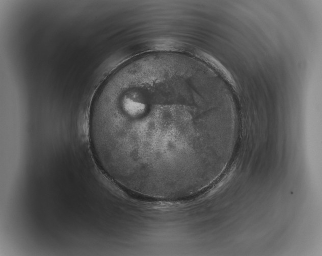 X0000102520938200808151530