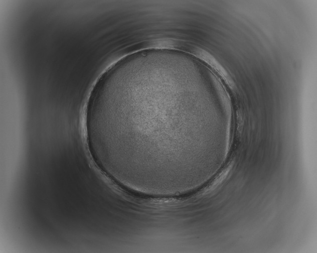 X0000102520939200808151530