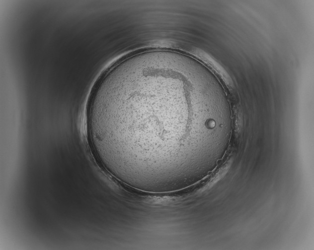 X0000102520940200808151530