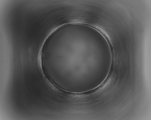 X0000102520941200808151530